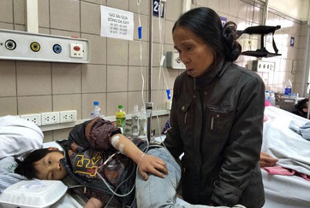 Báo động tình trạng ngộ độc nấm